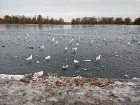 The Parks Cannot Wait for Spring!