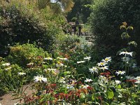 Helping Nature Thrive Campaign, Keep Wildlife Wild