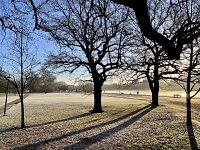 A New Year in the Parks