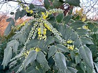 Happy New Year - Part 1