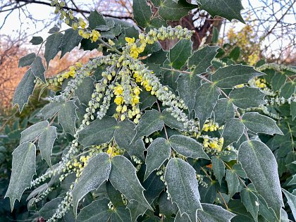 Happy New Year - Part 1