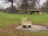 In the Park - Storm Eunice and A Member's Winter Walk