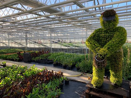 The nursery has an automatic eco and watering system