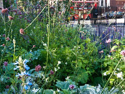 Park Manager's Garden