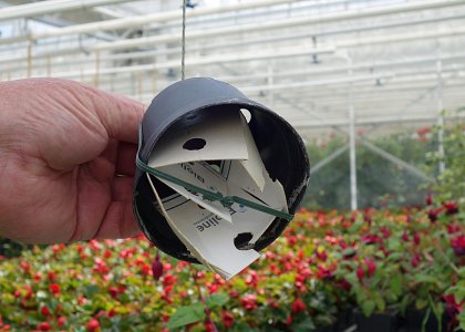  Anti aphid card container