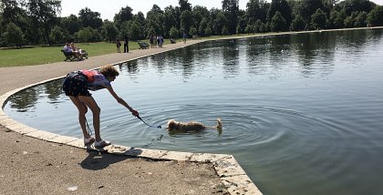 Please keep dogs on lead