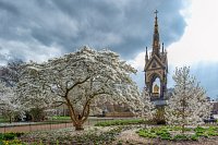 Spring Rolls into Summer