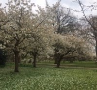 Blog 1: Introductory Blog from Jason Taylor, Hyde Park Manager