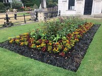 Blog 13: Bedding in The Parks