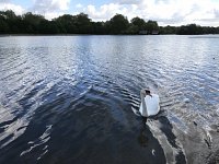 Blog 17: Farewell from our Blogging Technical Officers