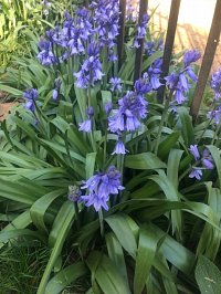 Blog 3: Blues and Purples