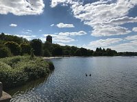 Blog 9:  Importance of Water