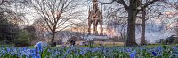 Royal Parks Visitor Satisfaction Research