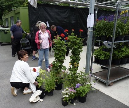  Tina and Mike, in the background, working hard. Note the gigantic Buckingham Palace geraniums